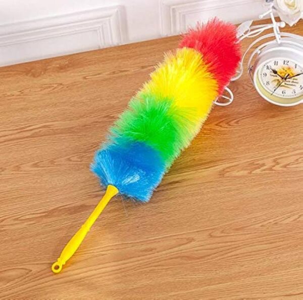 Feather Duster (Small)